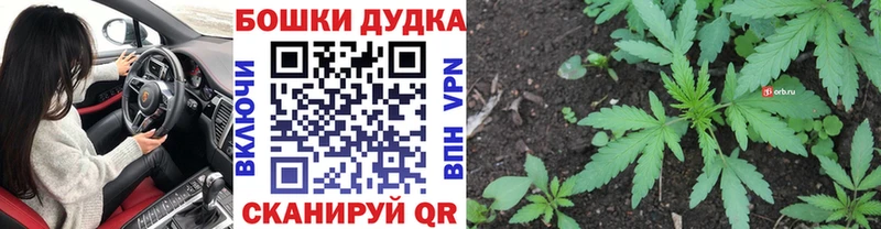 Купить где  Каменск-Шахтинский  Канабис планчик 